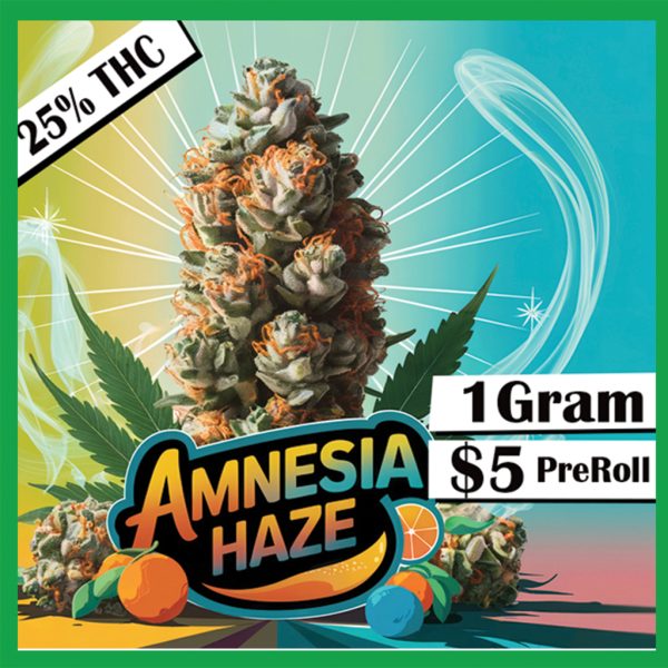AMNESIA HAZE 1G SAT PRE-ROLL